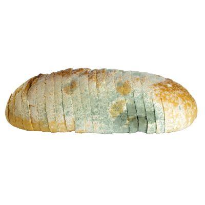 Mouldy bread