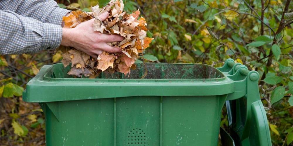 Green bin